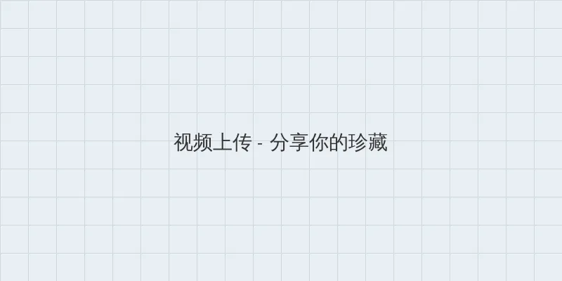 搞笑西游记 视频上传区域
